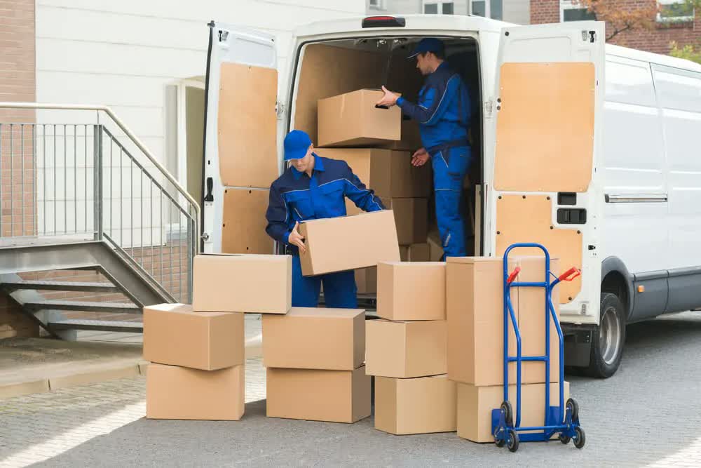 Large Purchase Delivery