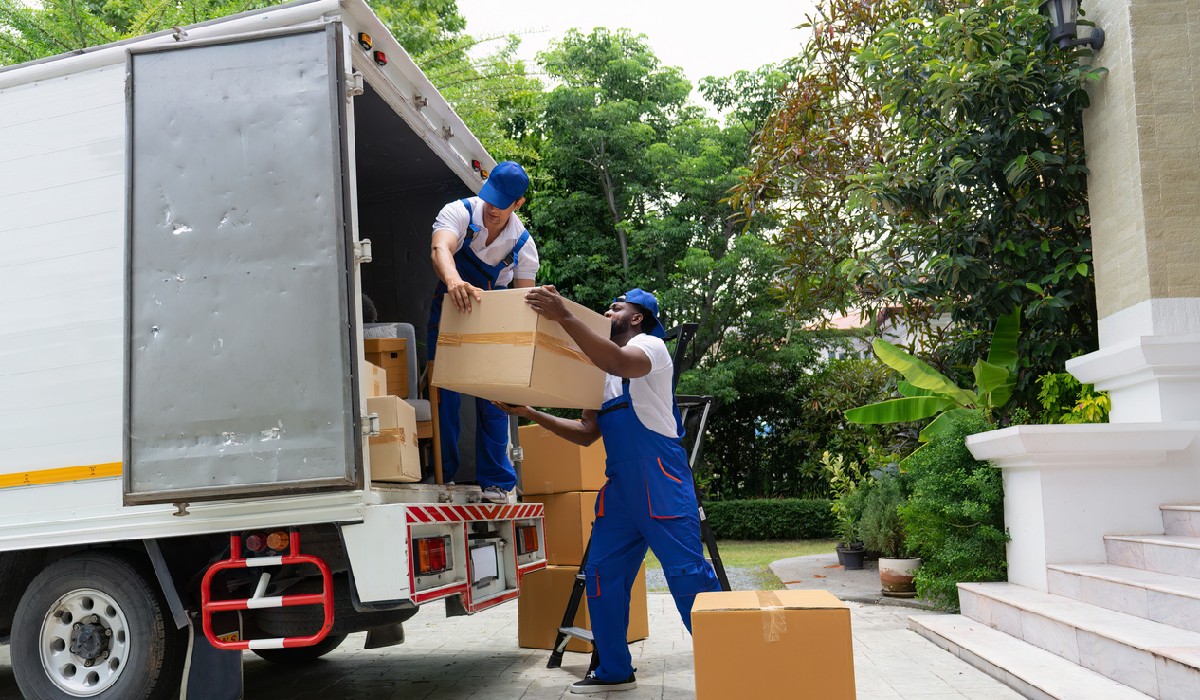 Furniture Removal